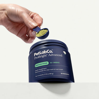 Poudre Dentaire Naturelle Catélia pour Chien