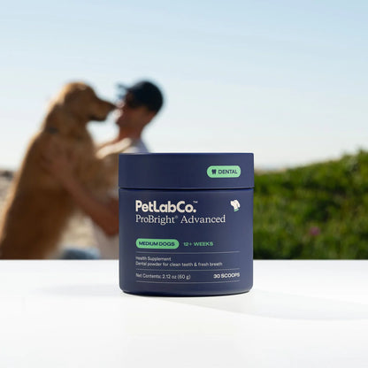 Poudre Dentaire Naturelle Catélia pour Chien